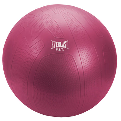 Everlast 65cm Pro Grip Fitness Ball - EE7500RS